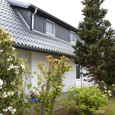 Seestern Zingst Luaran gambar